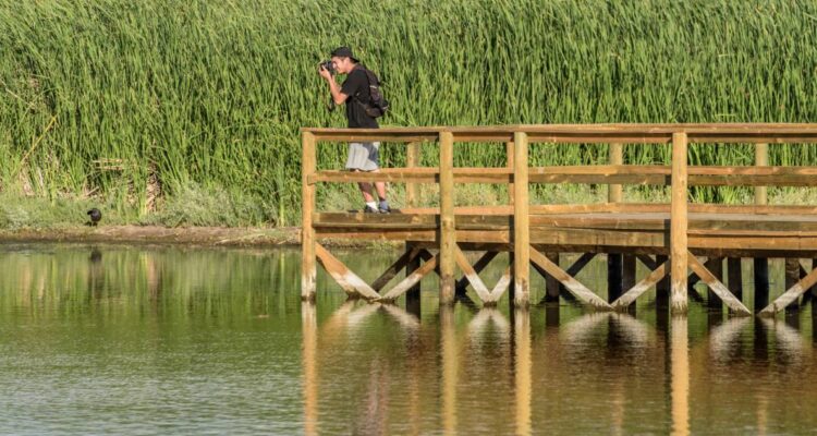 Santuario Laguna de Batuco invita a conmemorar el Día de la Tierra