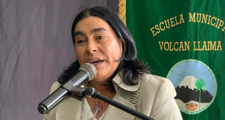 Seremi de Educación de La Araucanía, Marcela Castro, por dichos de delegado por demanda en su contra