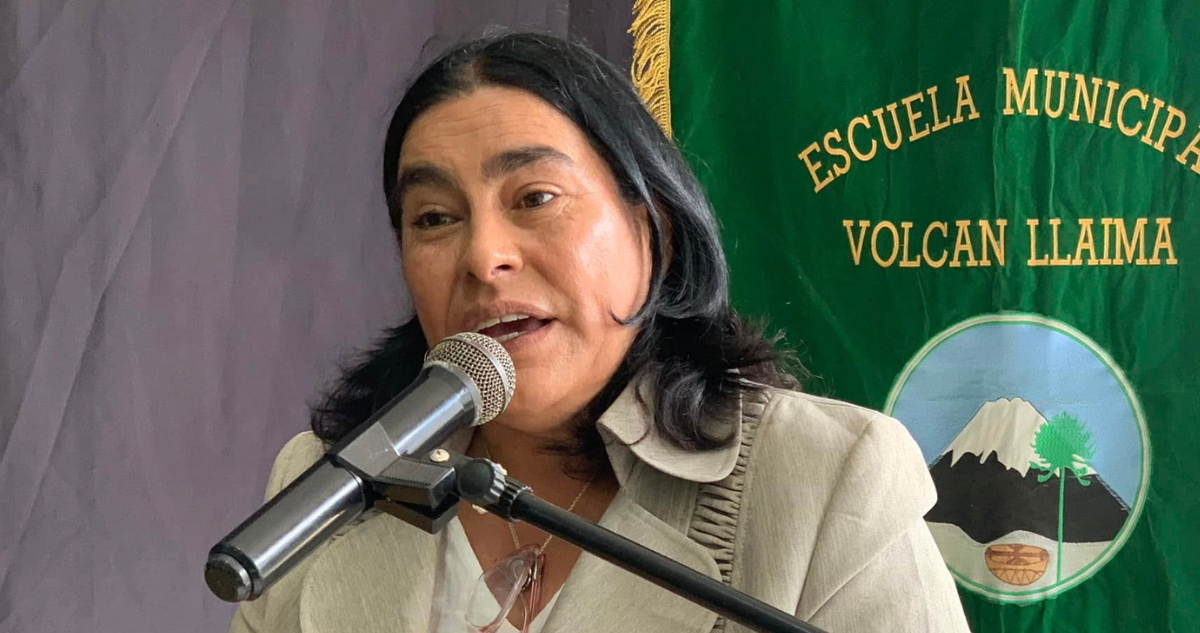Seremi de Educación de La Araucanía, Marcela Castro, por dichos de delegado por demanda en su contra