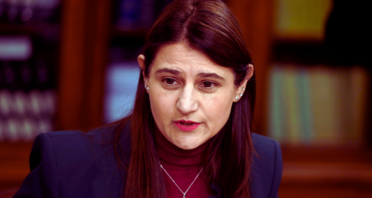 Diputada Cid califica de “muy grave” últimos arrestos en Caso Convenios: habían funcionarios públicos