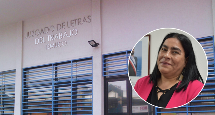 Seremi de Educación de La Araucanía fue demanda por tutela laboral: denunciante acusa temas políticos