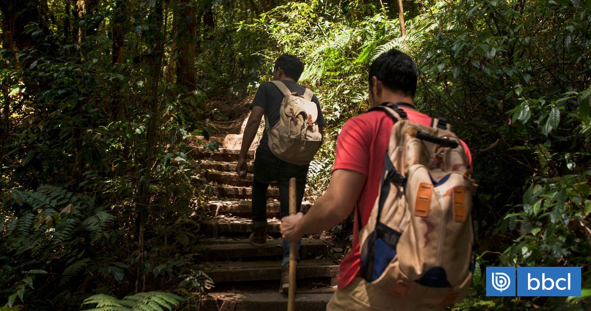 5 destinos chilenos para practicar ecoturismo en Semana Santa