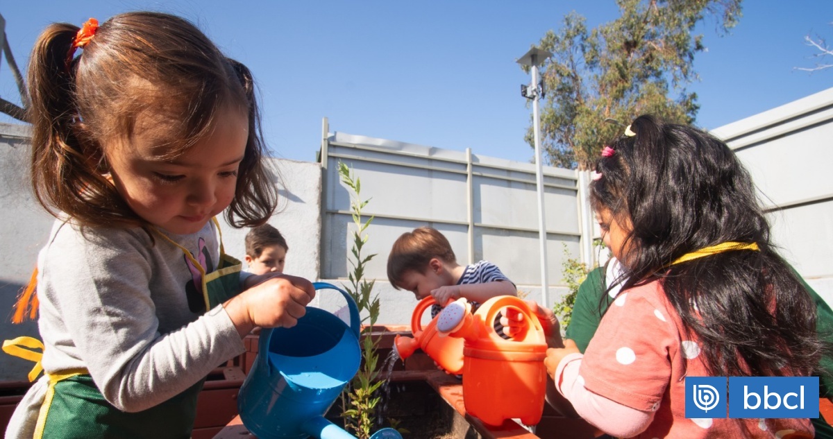 Congreso despacha ley que moderniza Educación Parvularia en Chile