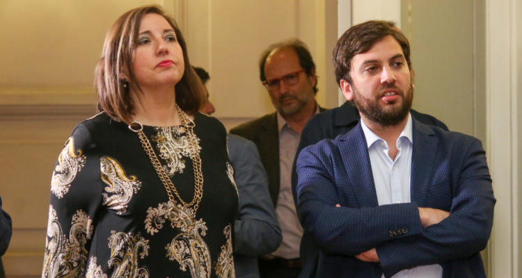 soto primarias vodanovic