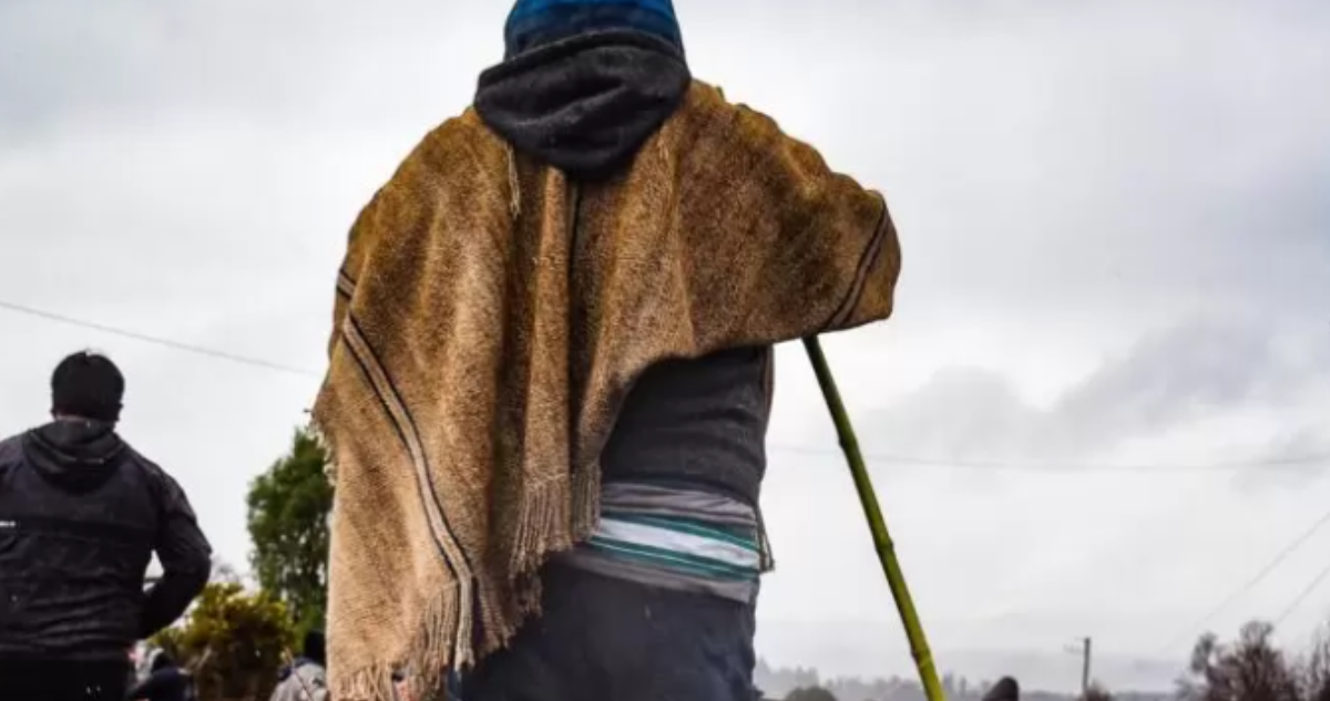 Gremios piden desalojo de fundo en Lumaco ocupado por comunidades simpatizantes de la CAM