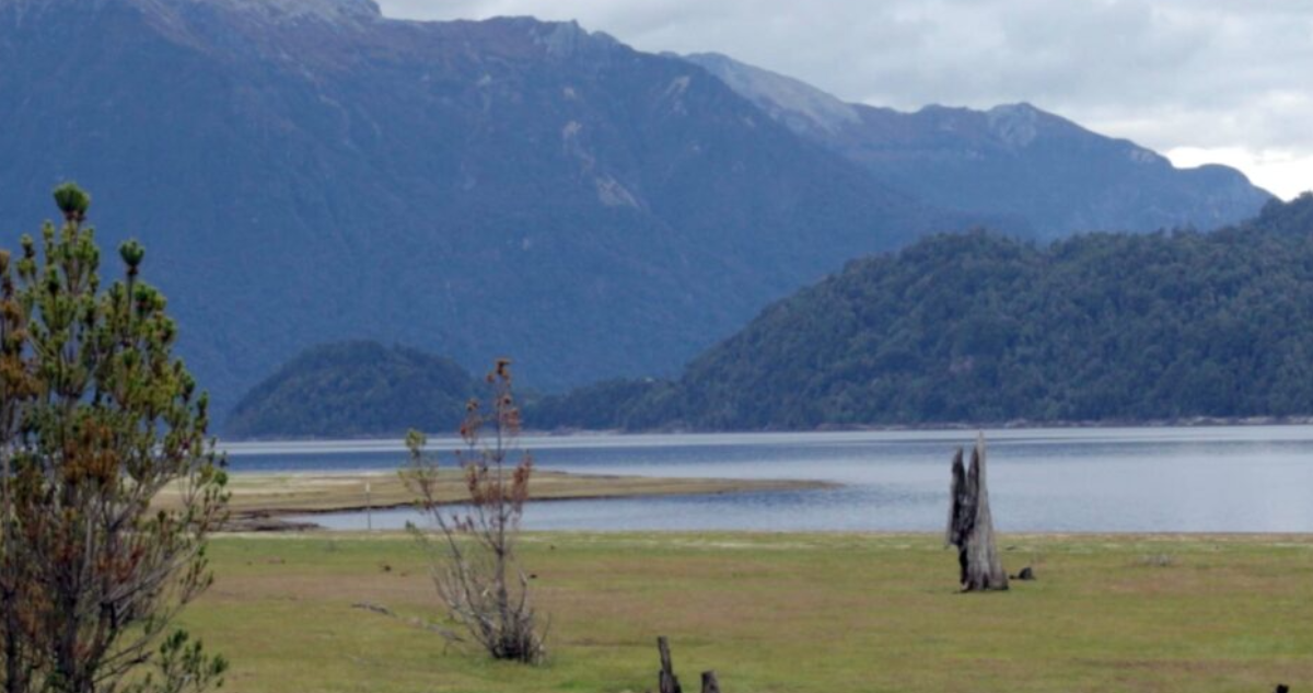 Puerto Montt: asociaciones medioambientales buscan establecer nivel de agua de Lago Chapo