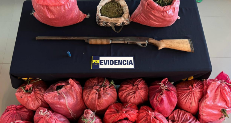 Desarticulan organización criminal en Nogales: se les incautó $500 millones en drogas y armas