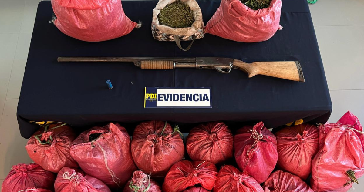 Desarticulan organización criminal en Nogales: se les incautó $500 millones en drogas y armas