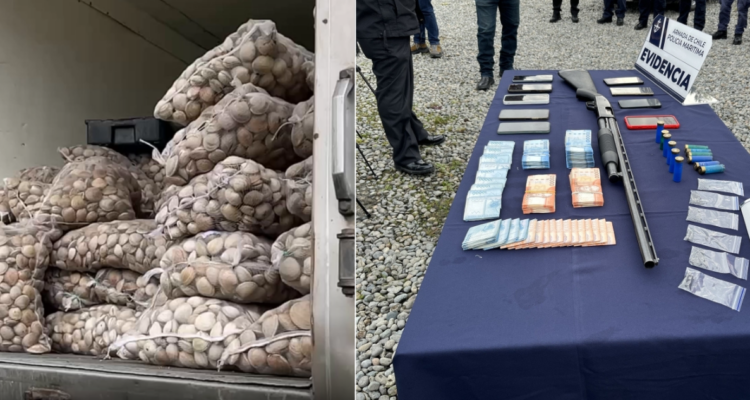 Operativo deja 7 detenidos e incauta armas y drogas en Calbuco: uno es funcionario de Sernapesca