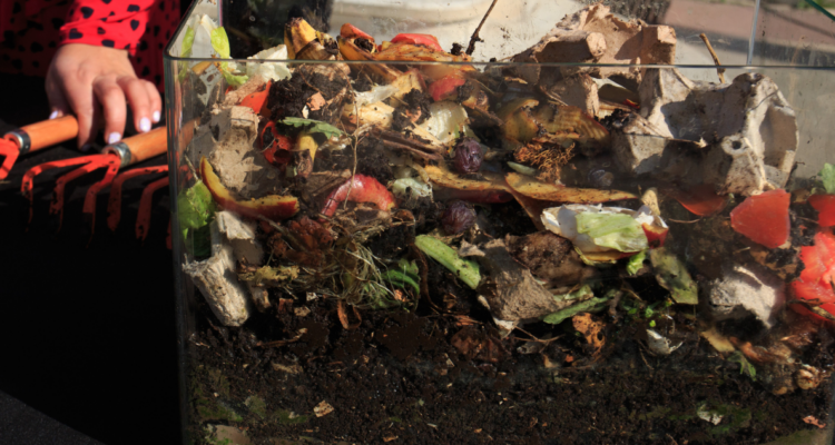 Purranque: organización pide cierre de empresa de compostaje por incumplimiento a resolución ambiental