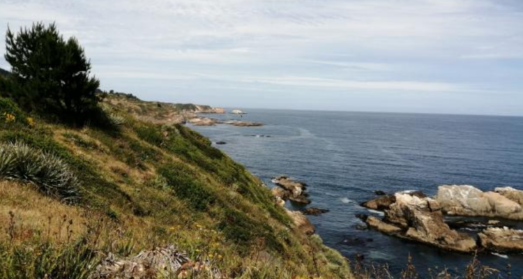 Por venta de fundo en Península de Hualpén: alcalde plantea que sea adquirido con fondos estatales