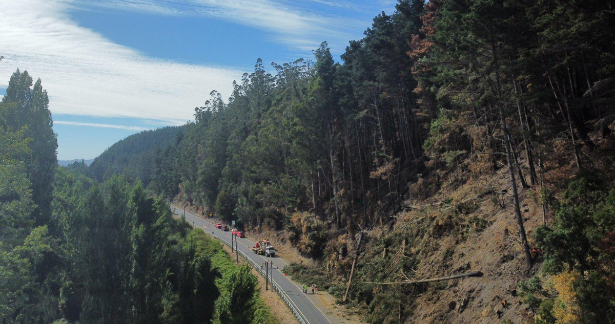 Ruta de la Madera