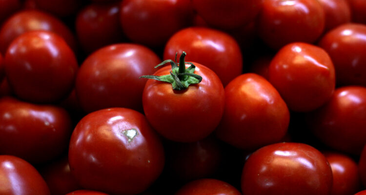Gobierno dice que alza del tomate es estacional, pero se temen otros aumentos ante escalada del dólar
