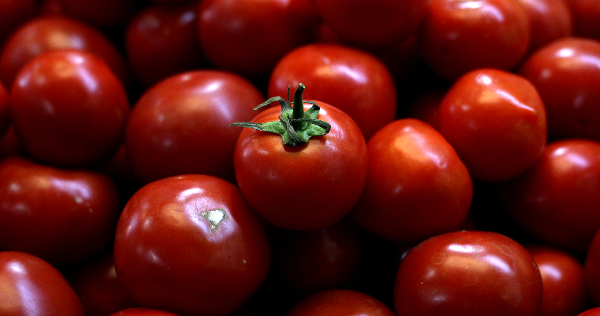 Gobierno dice que alza del tomate es estacional, pero se temen otros aumentos ante escalada del dólar