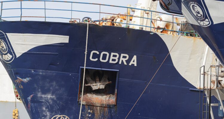 Dudas y lecciones tras caso bruma-cobra