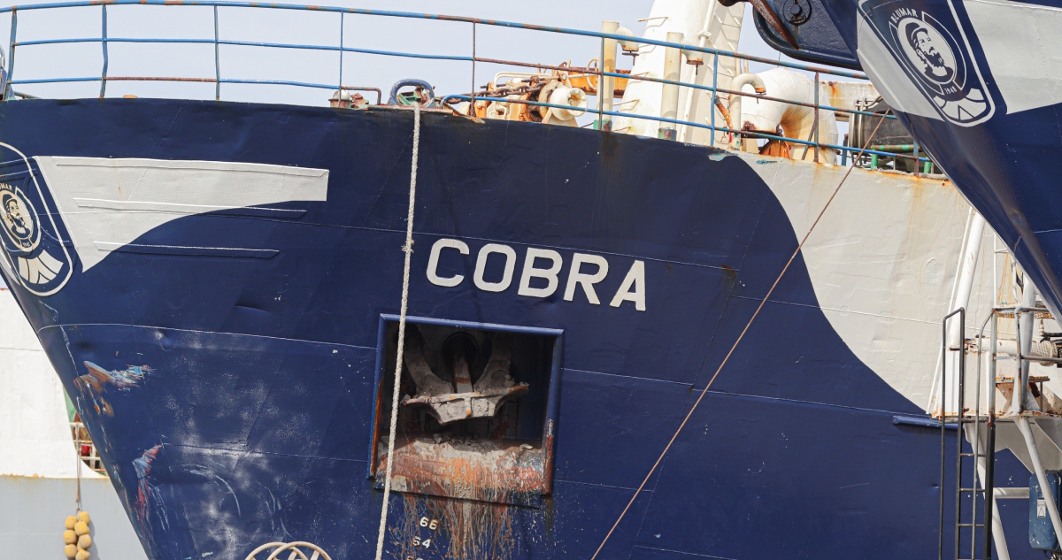 Tripulantes del Cobra por muerte de pescadores artesanales del Bruma