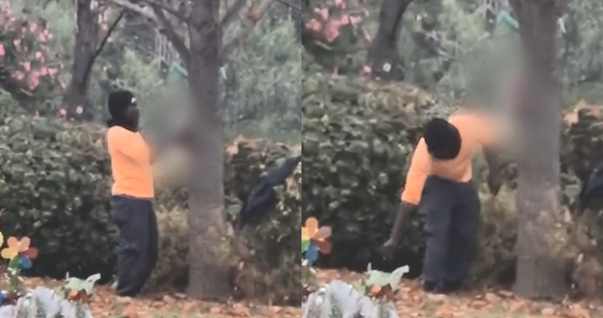 VIDEO | Captan a trabajador faenando un conejo al interior de un cementerio en la RM