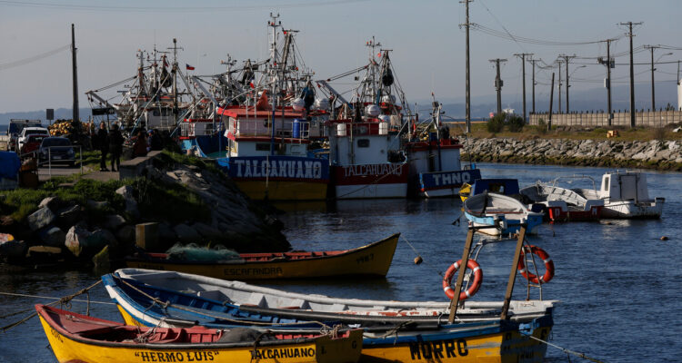 Empresa Landes presenta acción judicial contra el Estado por tramitación de Ley de Pesca