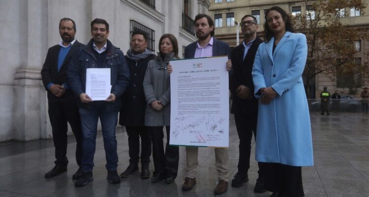 Alcaldes de la RM buscan rebajar tarifa de la luz: entregaron carta al presidente Boric