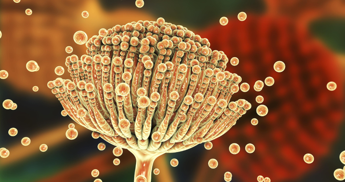 https://www.biobiochile.cl/noticias/servicios/explicado/2025/04/30/cuales-son-los-sintomas-del-cancer-de-pancreas-enfermedad-suele-diagnosticarse-en-etapas-avanzadas.shtml