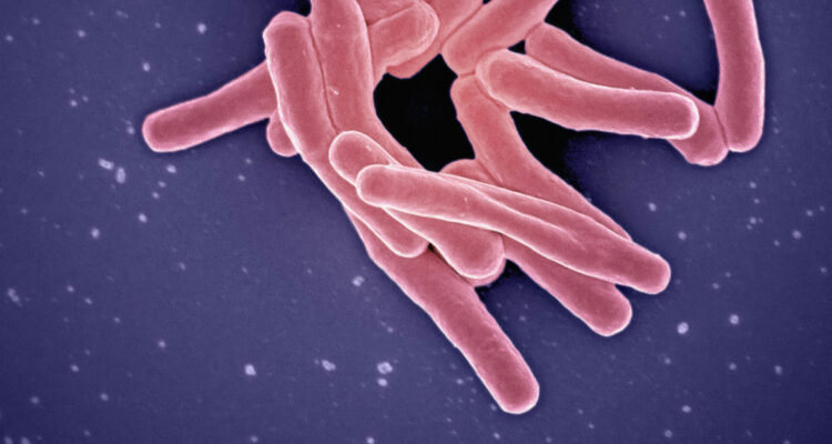 Imagen referencial para ilustrar el hallazgo de una bacteria en la Estación Espacial China