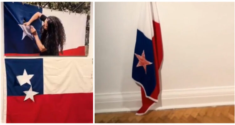 Republicanos critican muestra en el Museo de Bellas Artes: acusan ultraje a la bandera