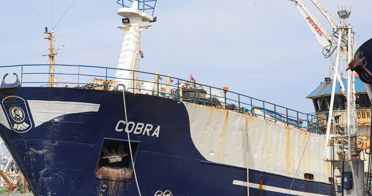 Imagen del barco Cobra por peritajes en dique seco de Asmar
