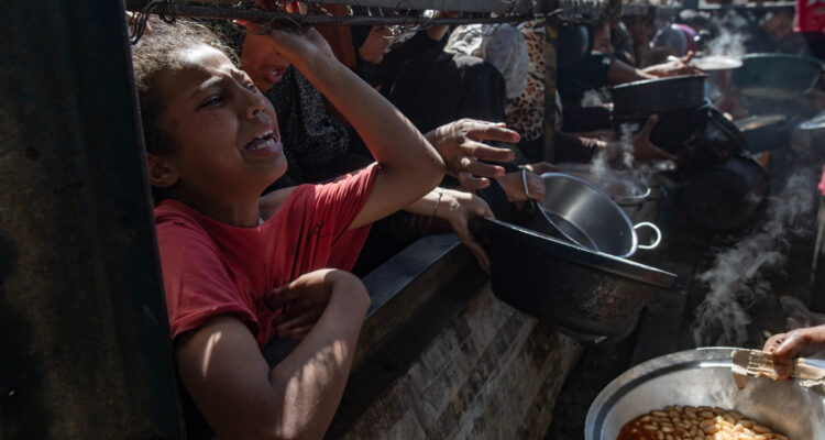 Reportan saqueo de 77 camiones con harina en la Franja de Gaza: “La población está hambrienta”