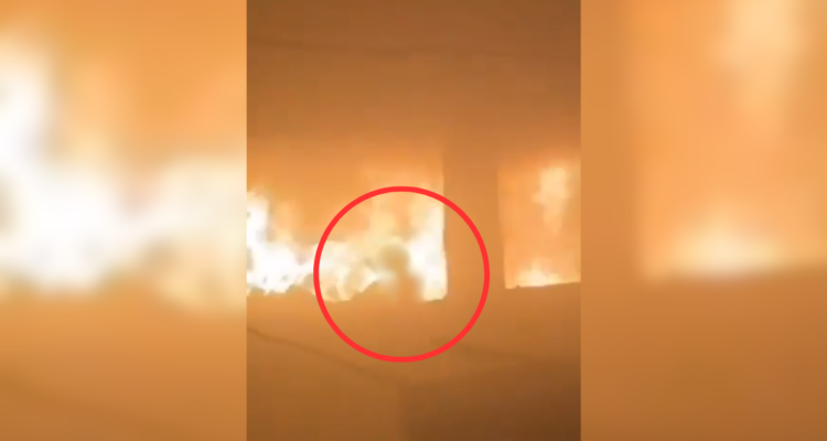 VIDEO | Niña gazatí sobrevive a ataque de Israel contra un colegio: su madre y sus 6 hermanos murieron