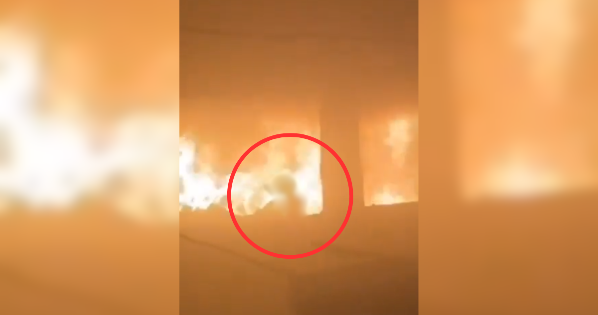 VIDEO | Niña gazatí sobrevive a ataque de Israel contra un colegio: su madre y sus 6 hermanos murieron