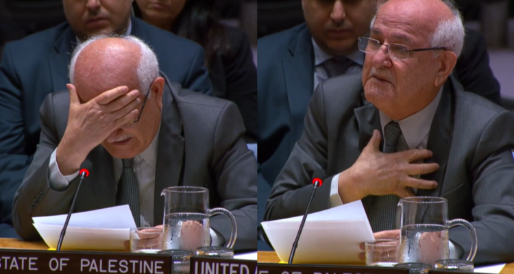 ¡Insoportable!: embajador palestino rompe en llanto en la ONU por niños asesinados y hambre en Gaza