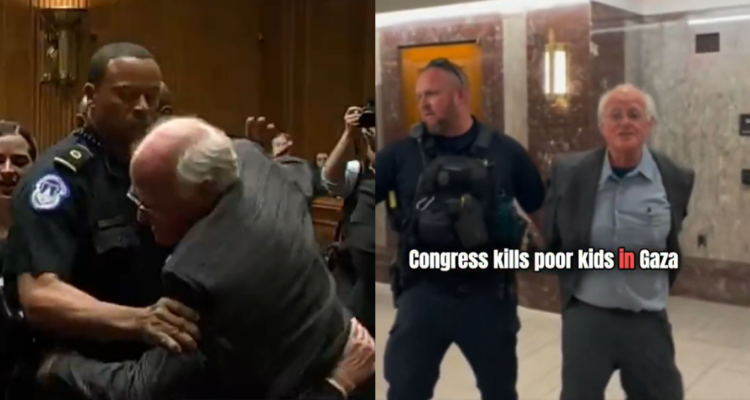 arrestan a reconocido empresario de EEUU por protestar contra la guerra en Gaza