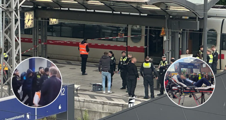 Hay 6 en estado crítico: 12 heridos luego que una mujer atacara con cuchillo a personas en Hamburgo