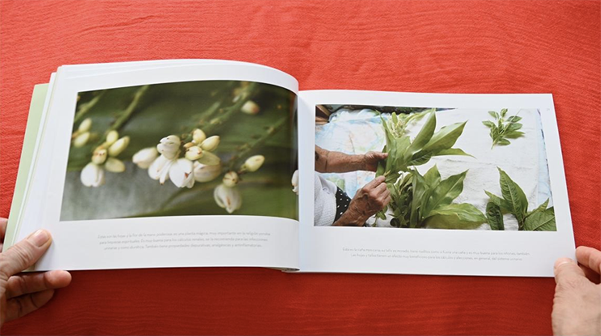 captura relatos breves libro