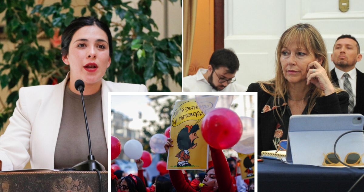 Diputadas Cariola y Gazmuri exigen suspender decreto del Minsal que actualiza polémica Norma 150