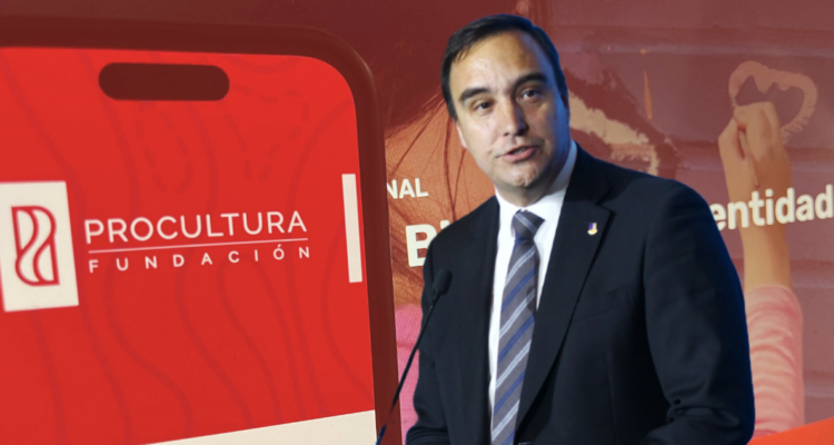 CGR detecta irregularidades en traspasos del Gore Magallanes a ProCultura y Hernando de Magallanes