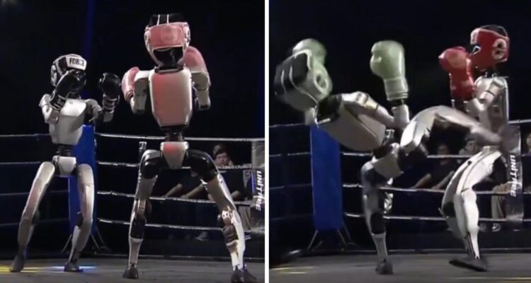 China estrenó el primer torneo de boxeo para robots humanoides.