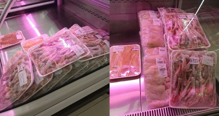 Cierran mall chino que tenía prohibición de funcionar en Santiago: vendían carne de tortuga y anguila