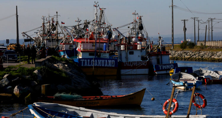 Sindicato de capitanes por fraccionamiento y cierre de PacificBlu: “Colapso definitivo” de la merluza