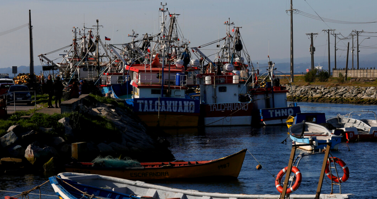 Sindicato de capitanes por fraccionamiento y cierre de PacificBlu: “Colapso definitivo” de la merluza