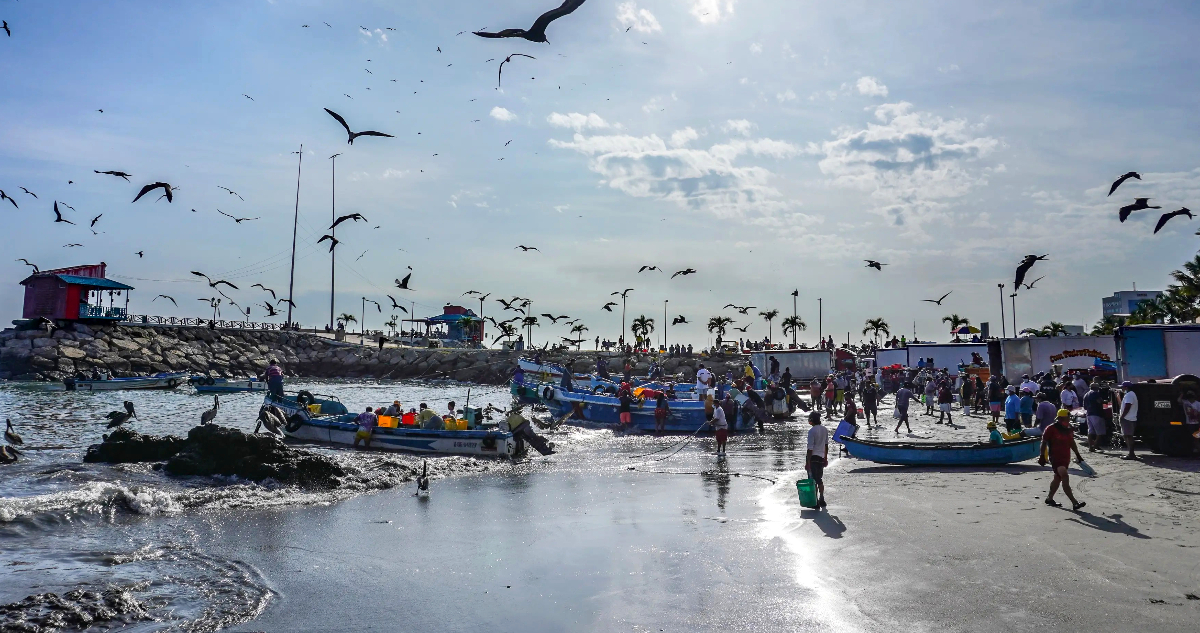 Comisión Mixta definió el fraccionamiento de merluza común: 52% para pesca artesanal y 48% a industria