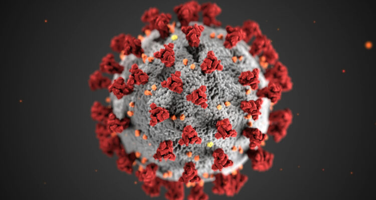 Imagen de un virus para ilustrar la nueva variante del Covid
