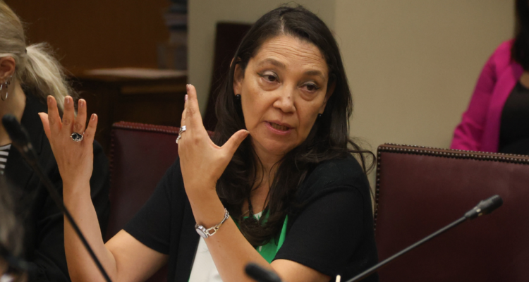 denuncia ministra segpres
