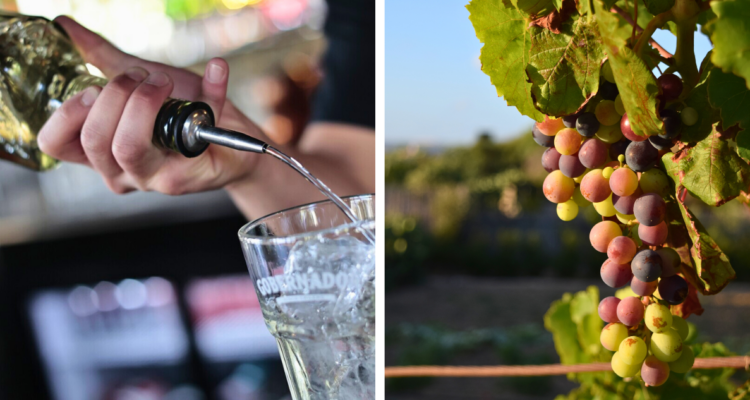 Día Nacional del Pisco: por qué en Chile se celebra cada 15 de mayo y qué actividades se realizan