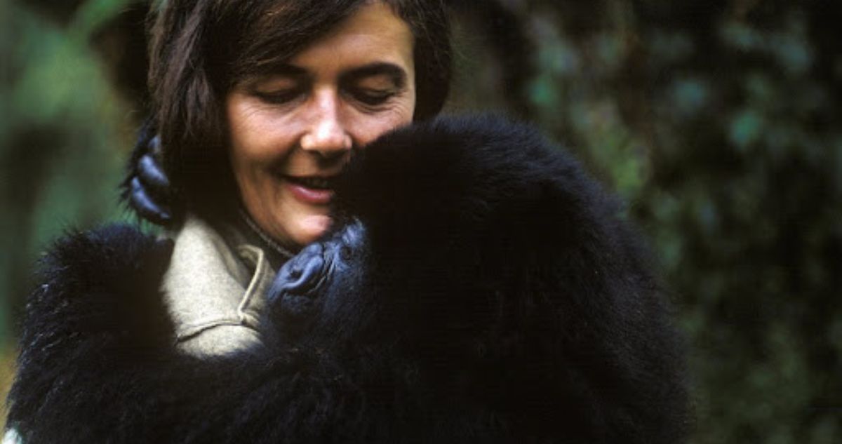 Dian Fossey