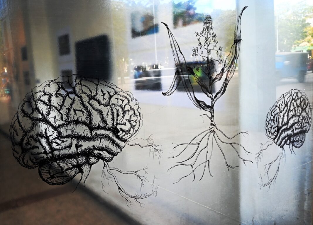 dibujos relatos breves