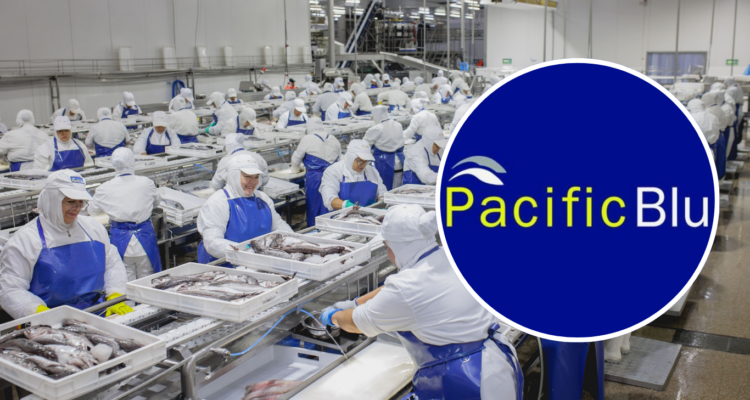 2400 afectados por cierre de PacificBlu tras fraccionamiento: acusa a subsecretario de Pesca de mentir