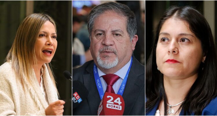 Diputados se van en picada contra el Gobierno por decisión de PacificBlu de cerrar sus operaciones