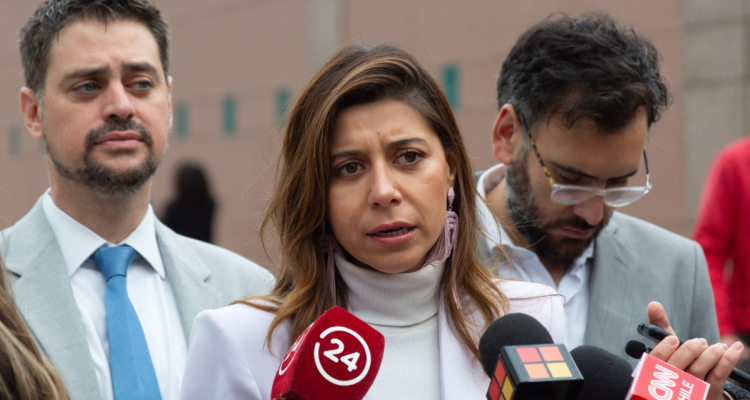 Diputados Socialistas respaldan dichos de Boric por ProCultura y fórmula del “caiga quien caiga”