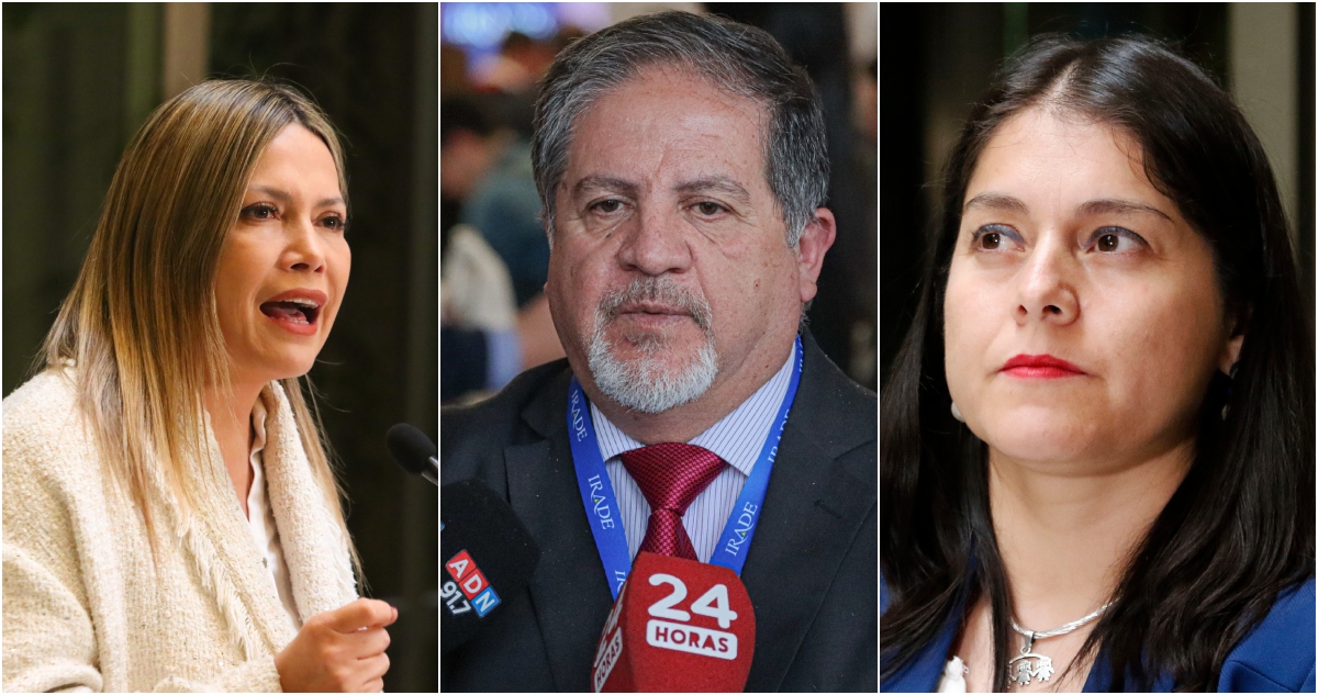 Diputados se van en picada contra el Gobierno por decisión de PacificBlu de cerrar sus operaciones